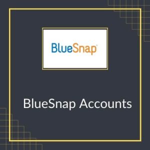 حساب های BlueSnap